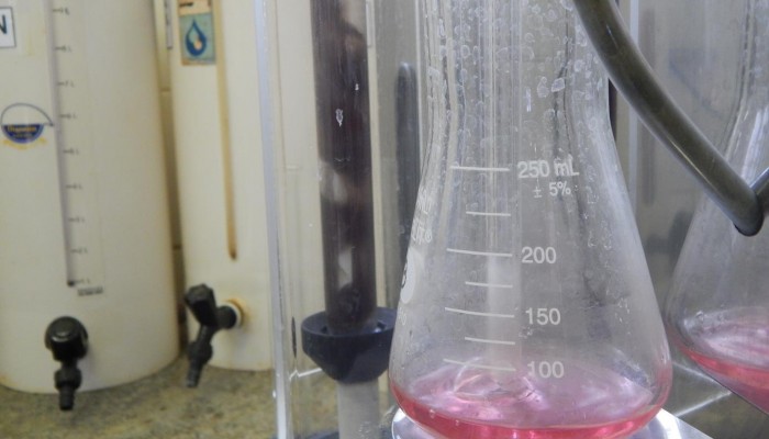 DSCN5062-Copy-700x400