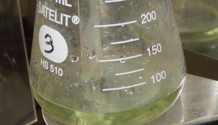 DSCN5068-Copy-700x400