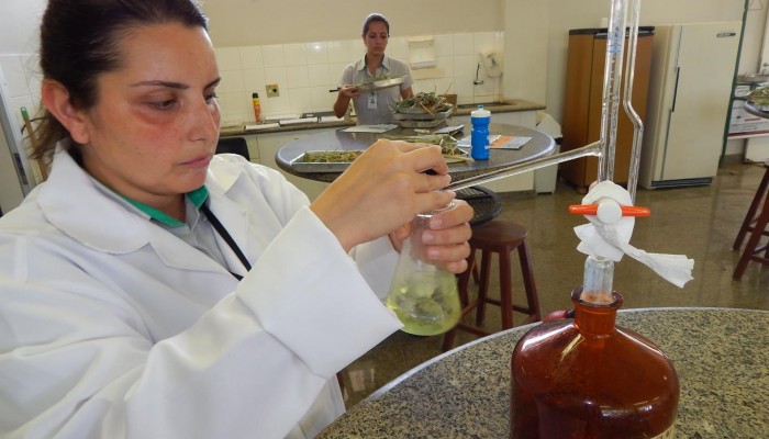 DSCN5072-Copy-700x400