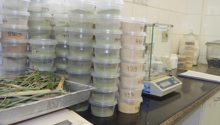 DSCN5082-Copy-700x400