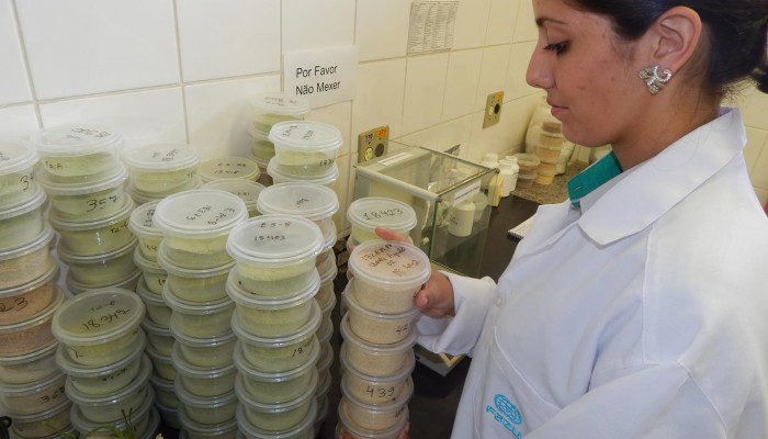 DSCN5087-Copy-700x400