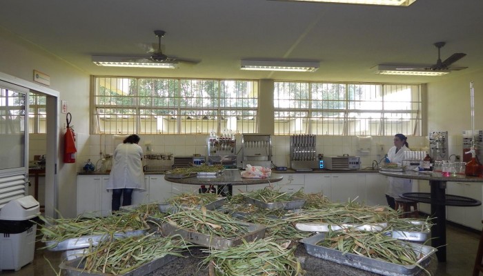 DSCN5097-Copy-700x400