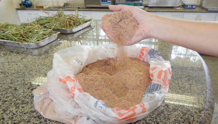 DSCN5098-Copy-700x400