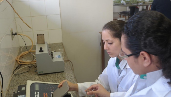 SAM_0393-Copy-700x400