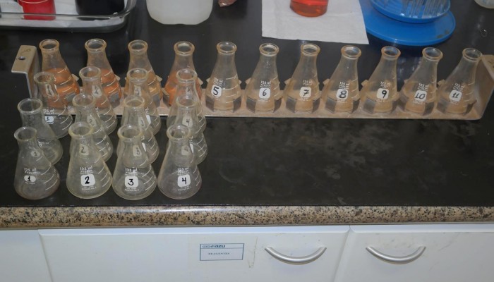 SAM_0398-Copia-Copy-700x400