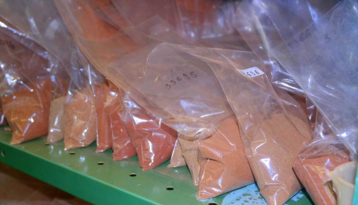 SAM_0425-Copia-Copy-700x400