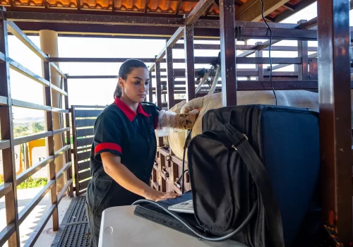 Foto para o Card.opti