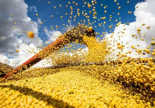 Pós em PDG mobile.opti