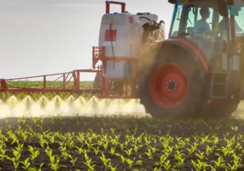 Pós em PDP mobile.opti