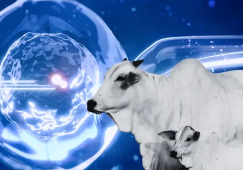 pós com ude capa mobile.opti